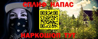 PSILOCYBIN Краснодар