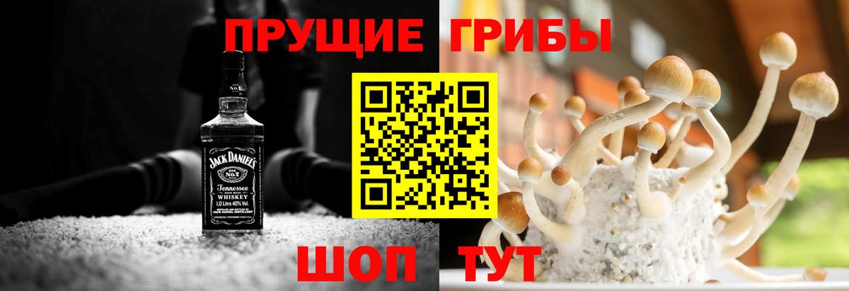 Псилоцибиновые грибы Psilocybe  Вход с VPN  Котовск 